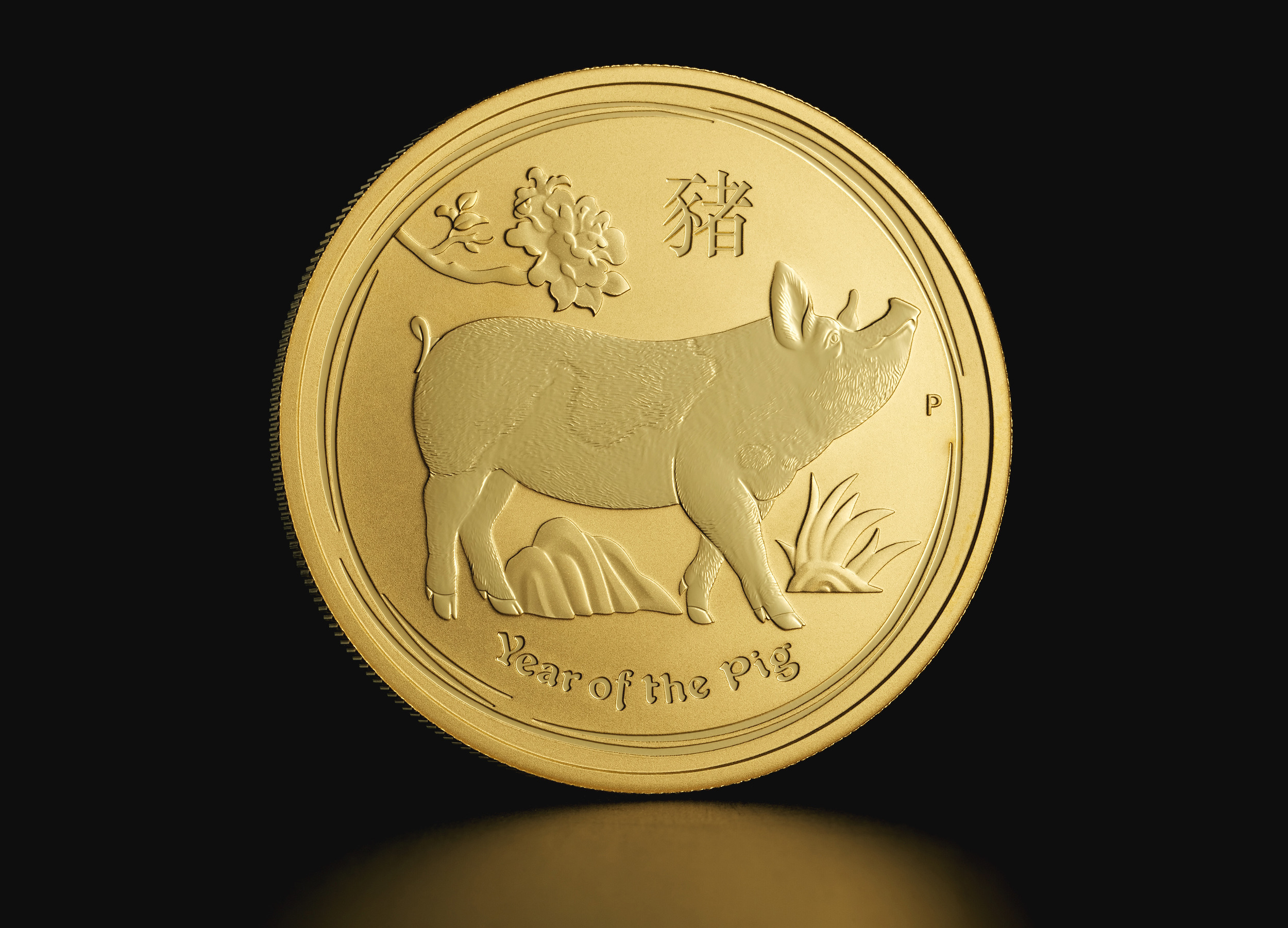 1 oz Australian Lunar Year of the Pig 2019 Gold Coin – TAVEX