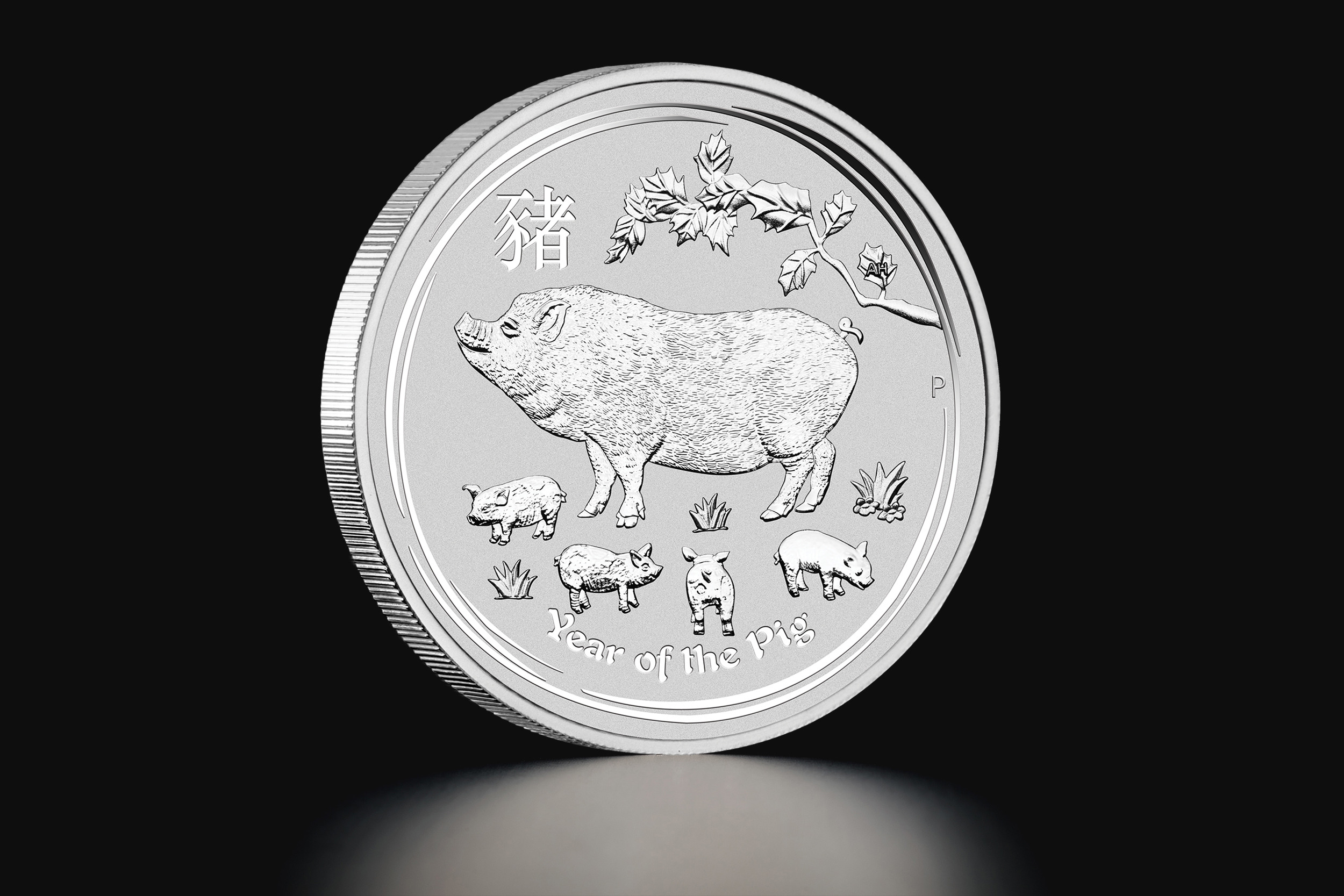 1 oz Australian Lunar Year of the Pig 2019 silver coin – TAVEX