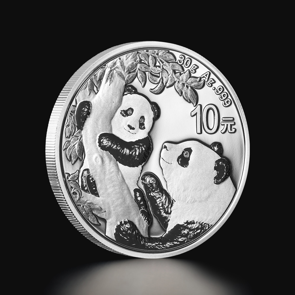 30 g Chinese Panda 2021 silver coin Tavex