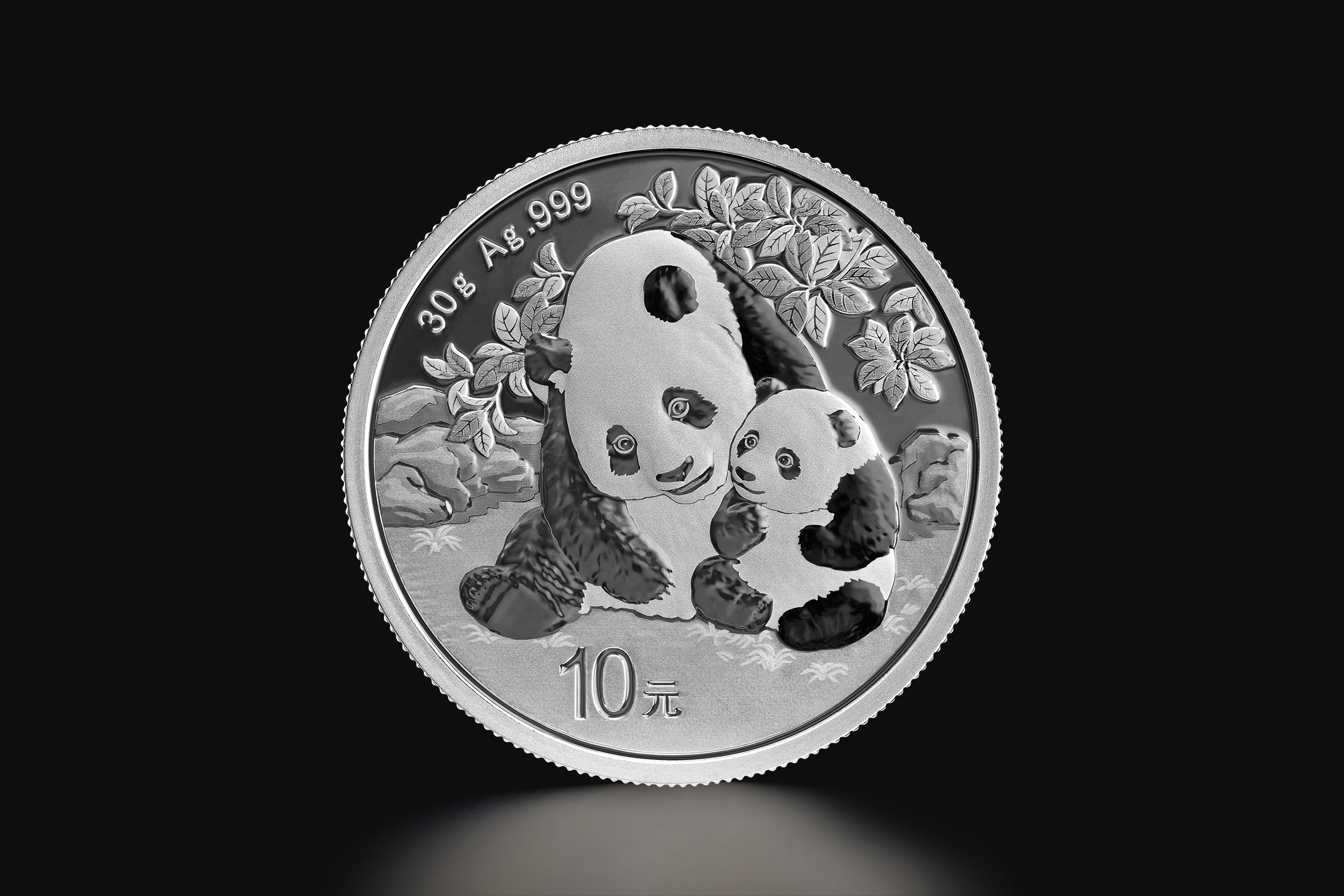 30 g Chinese Panda 2024 silver coin Tavex